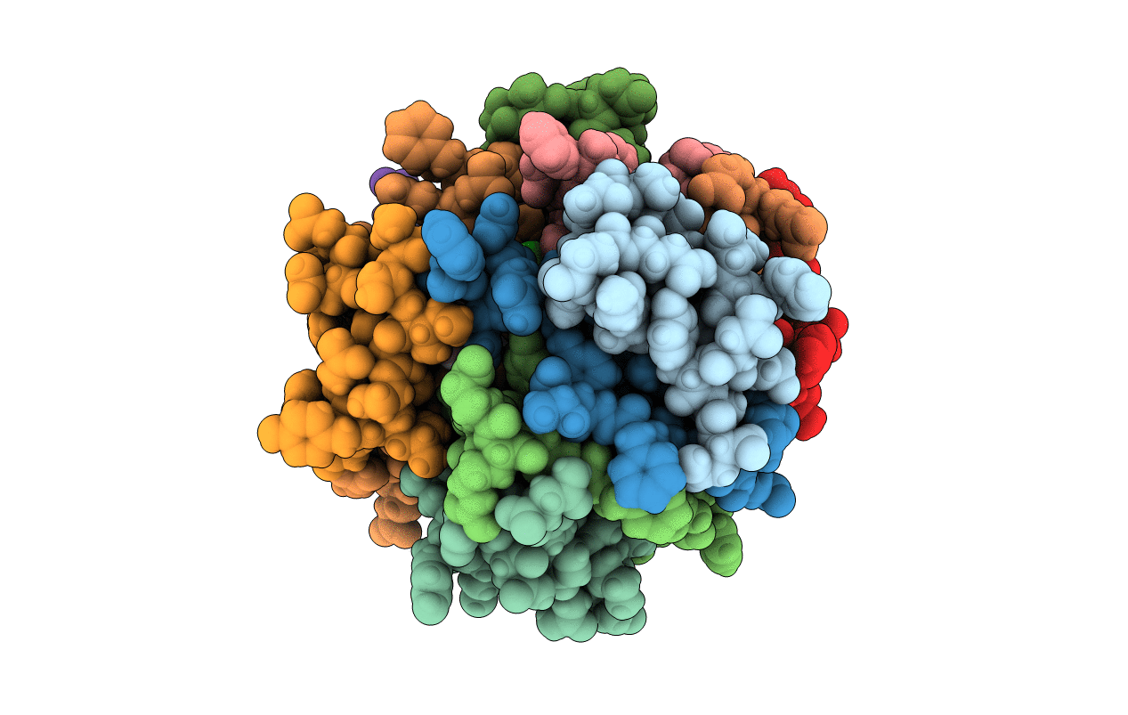 4P65 image