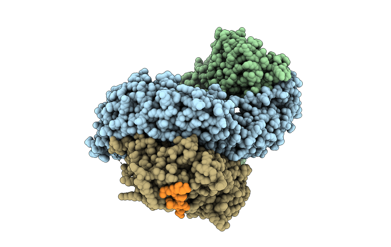4P6Z image