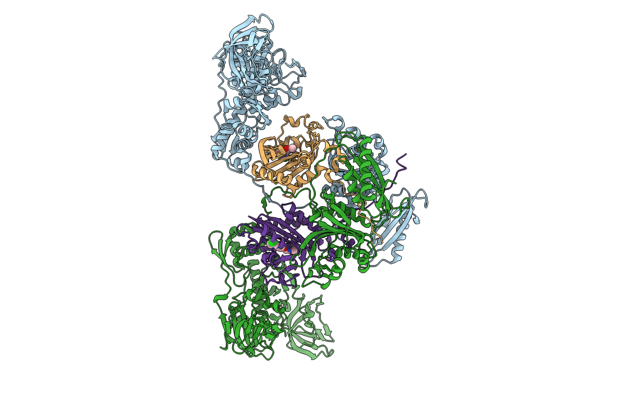4P72 image