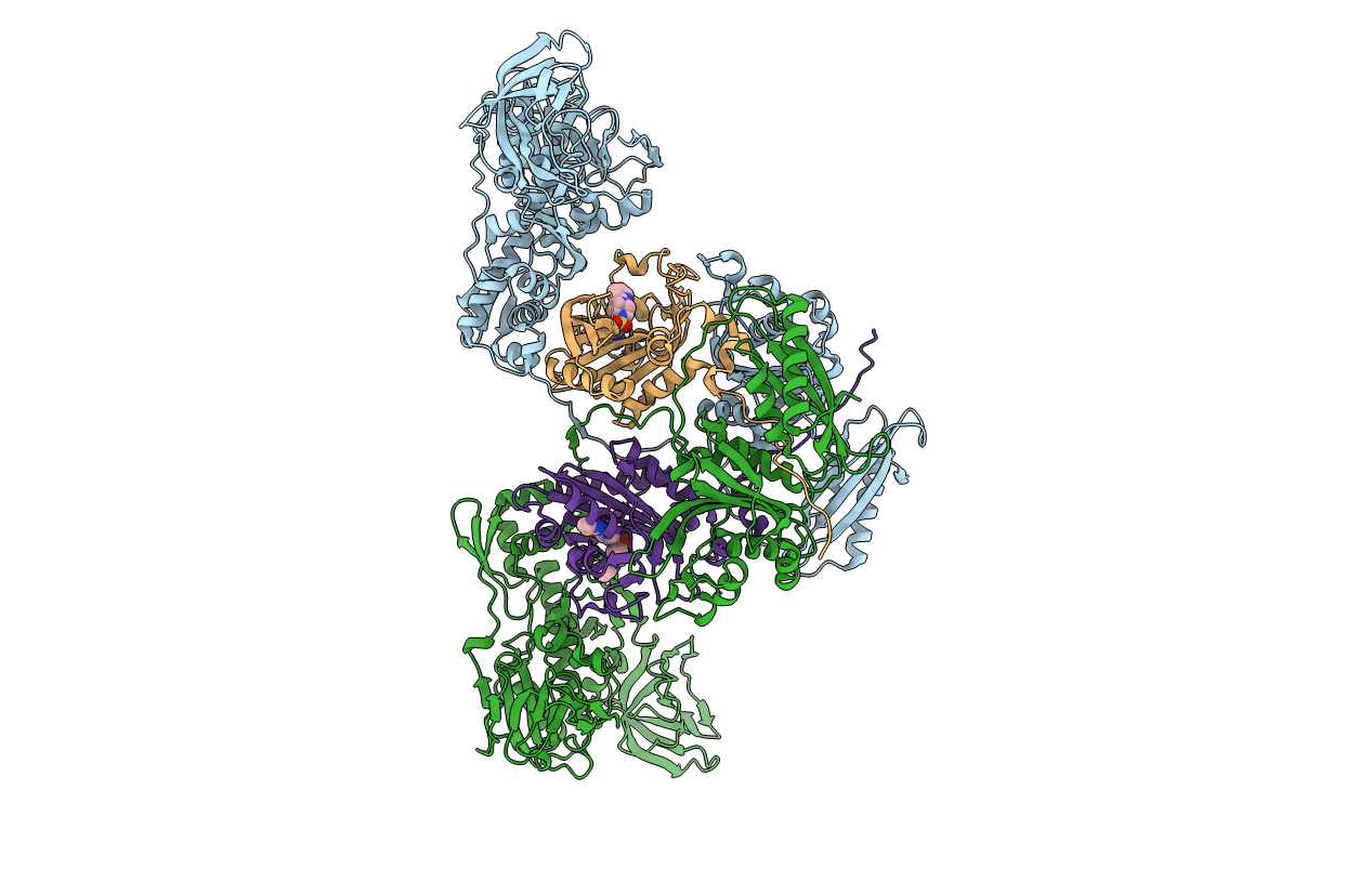 4P73 image