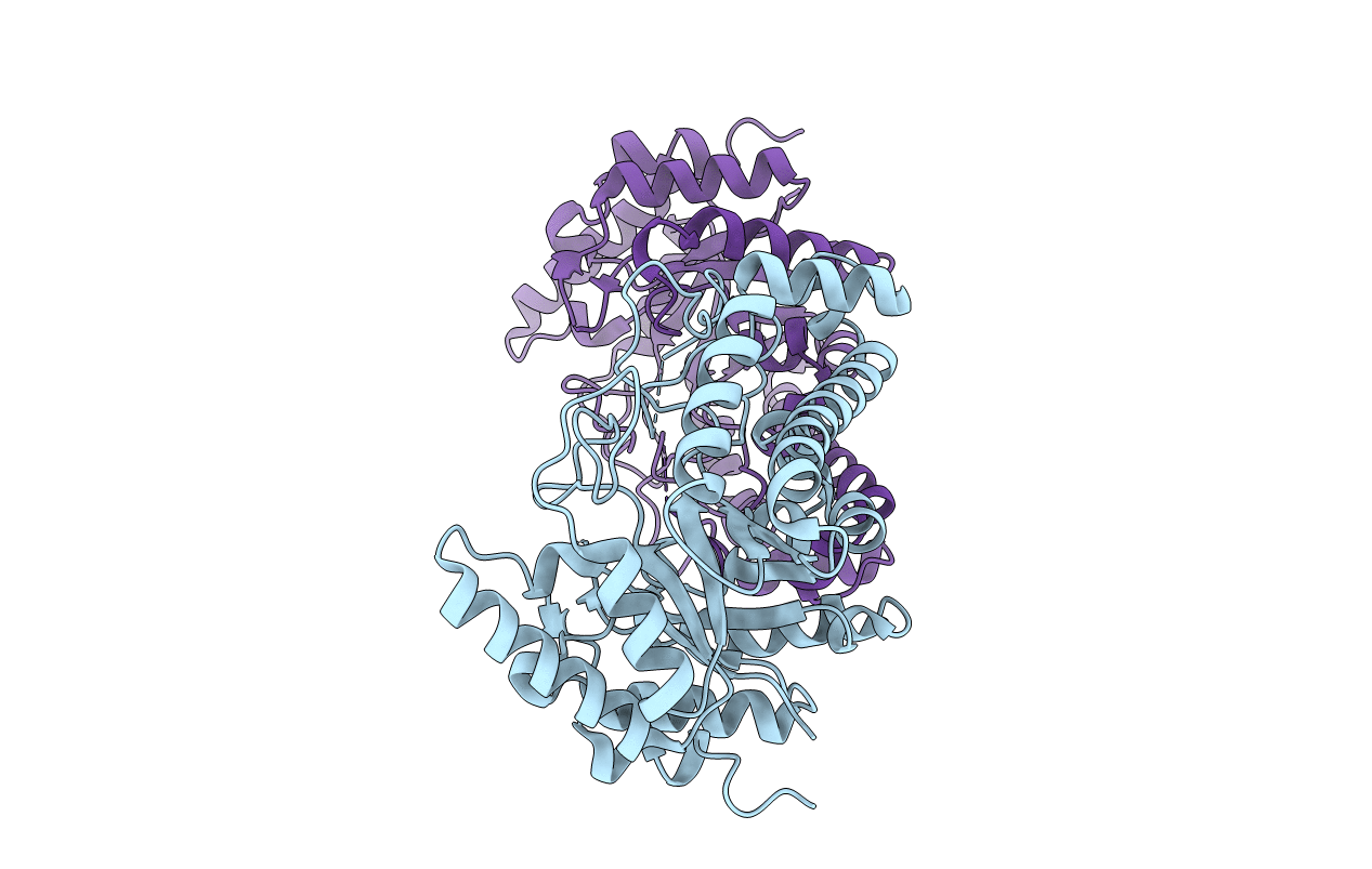 4P7O image