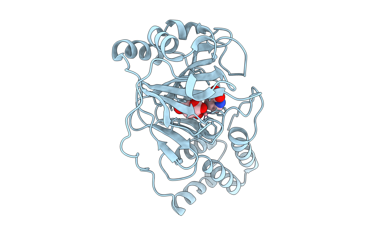 4P7W image