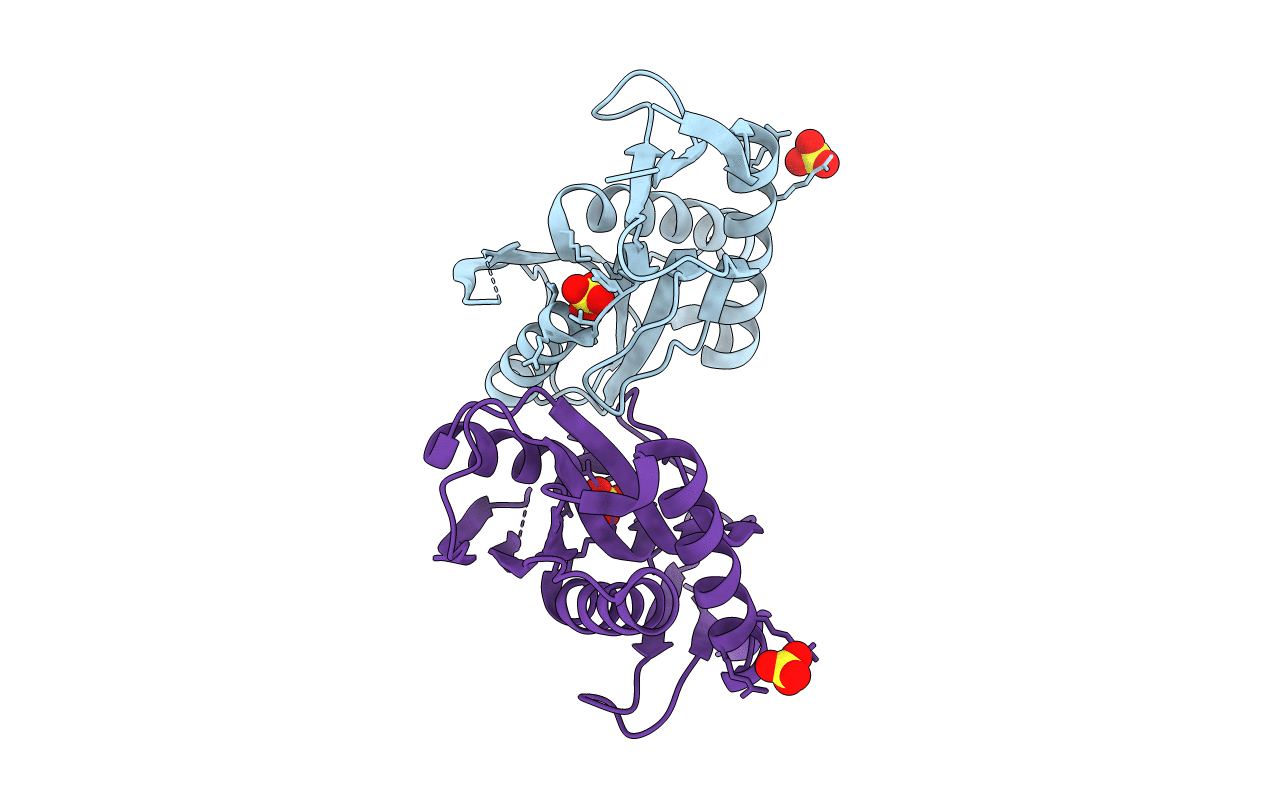 4P80 image