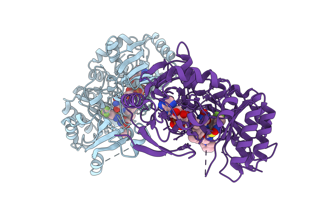 4P8H image