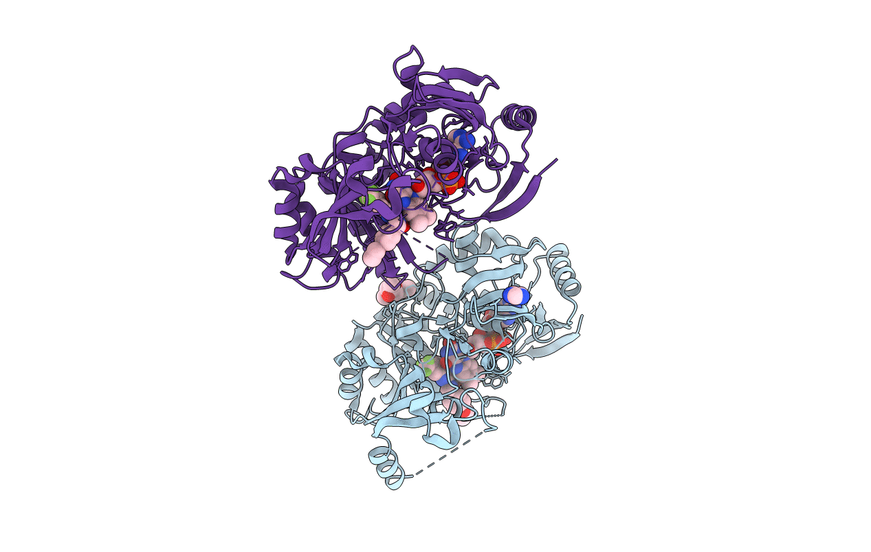 4P8M image