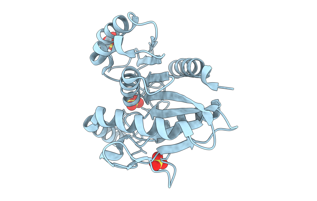 4P92 image