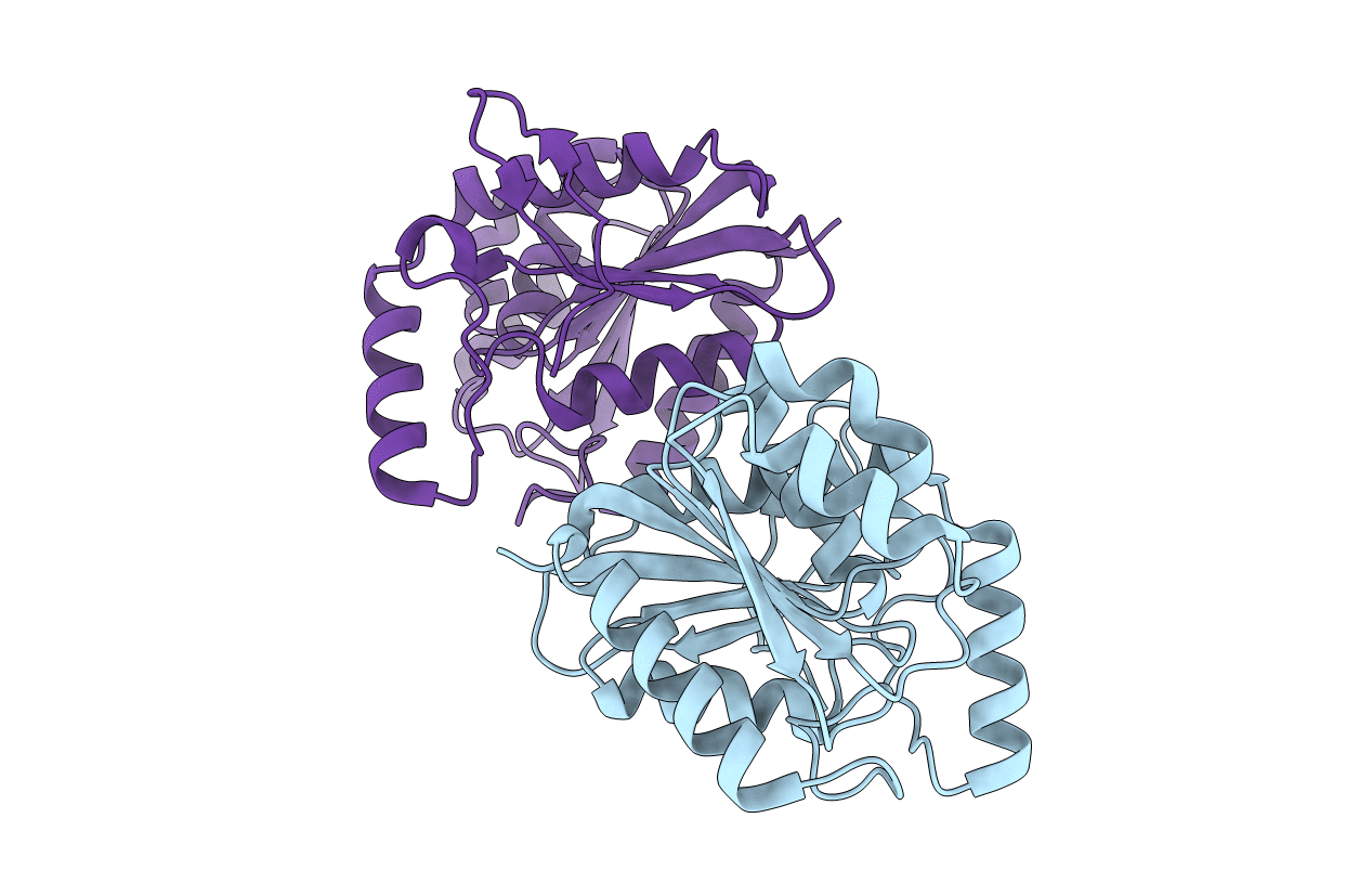 4P93 image