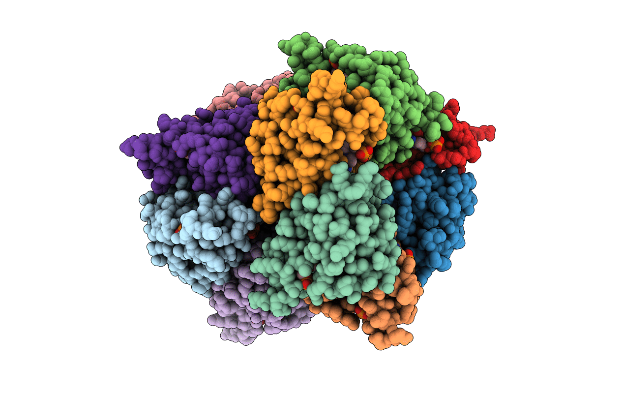 4P9C image