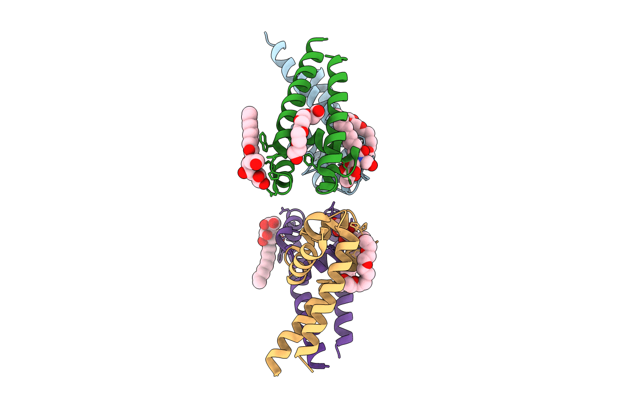 4PA9 image