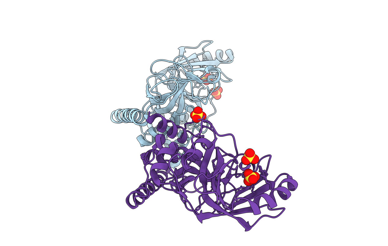 4PBB image