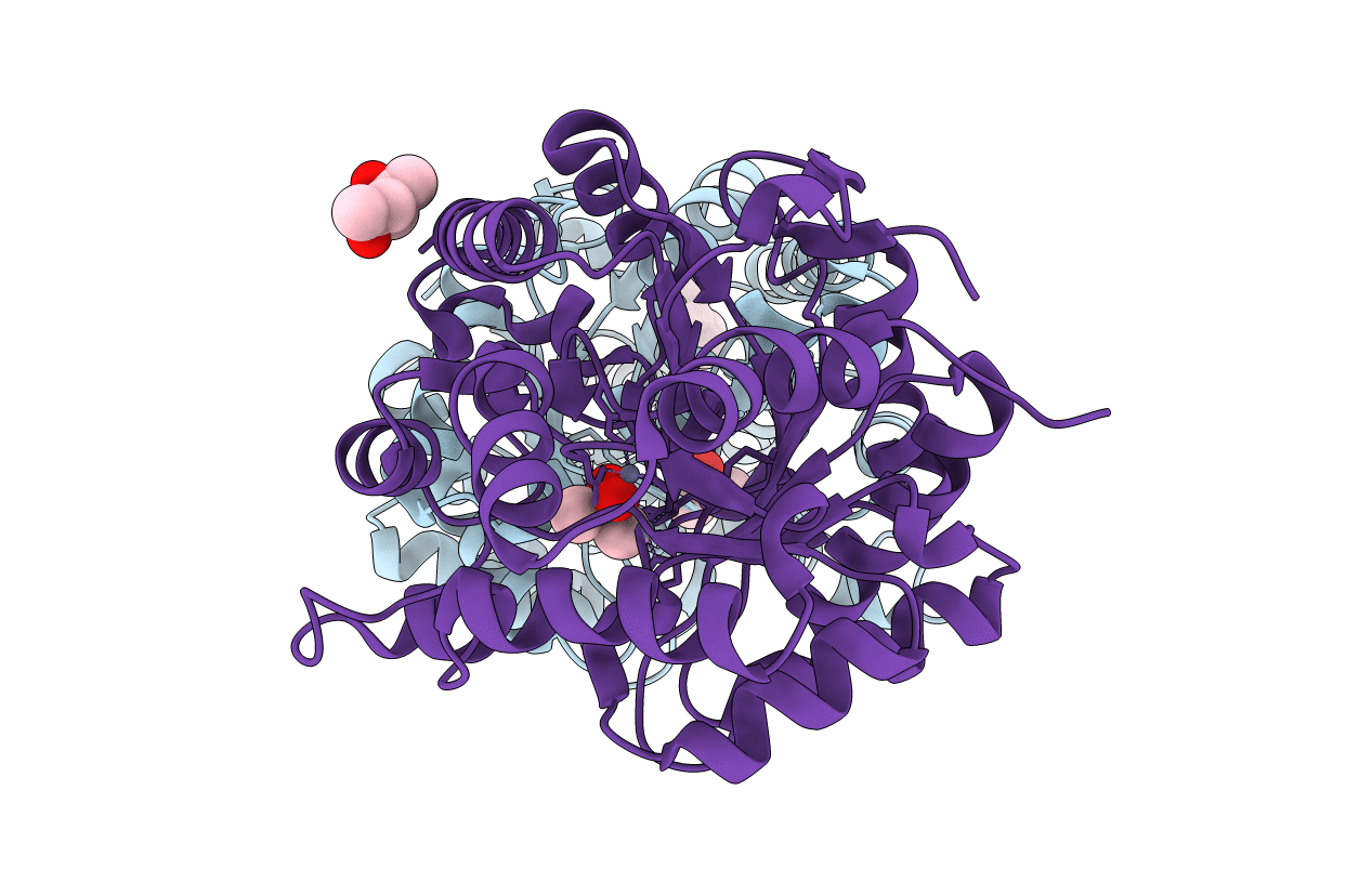 4PBF image