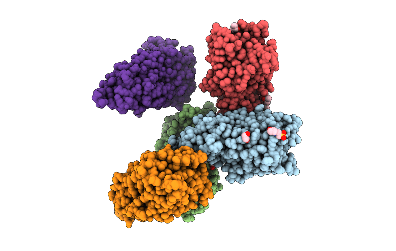 4PC4 image