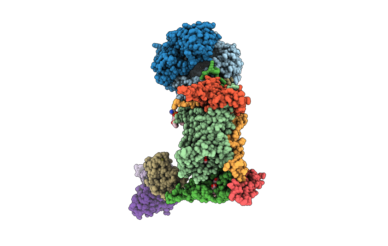 4PD4 image