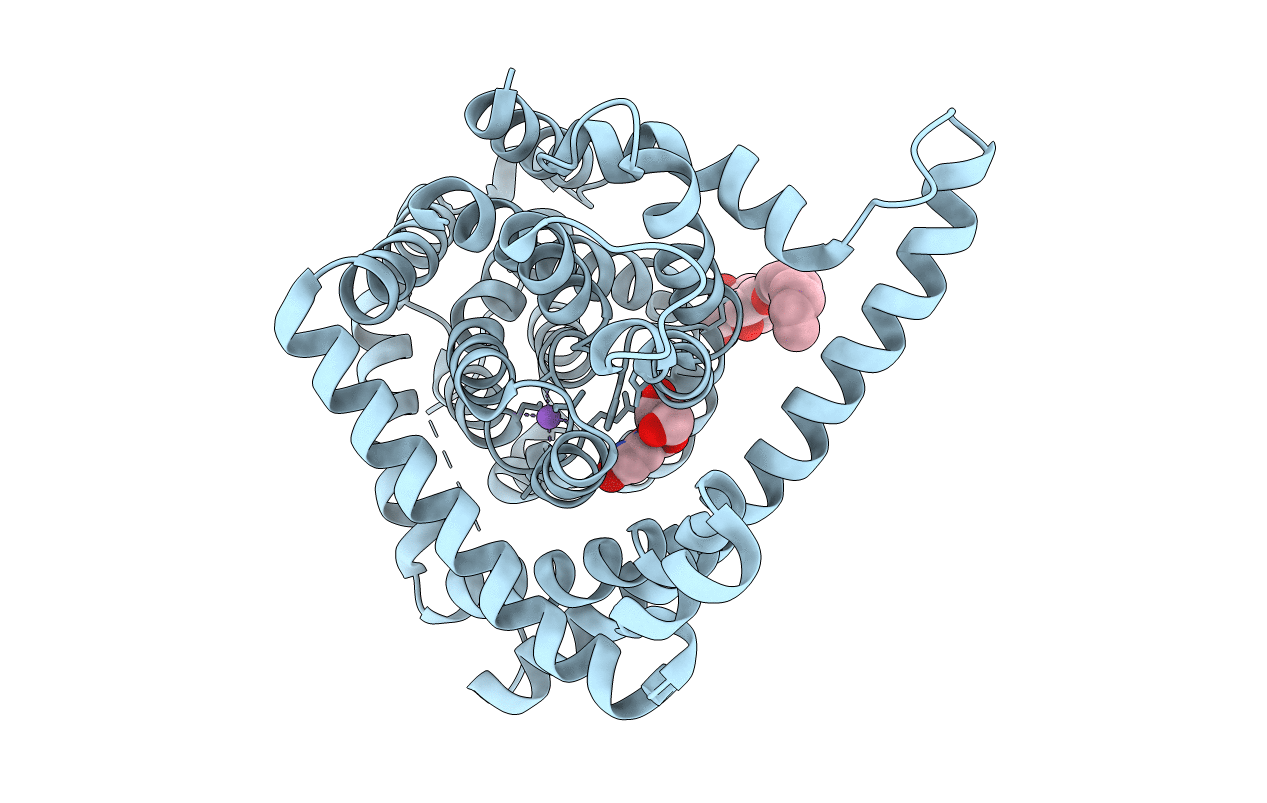 4PD6 image