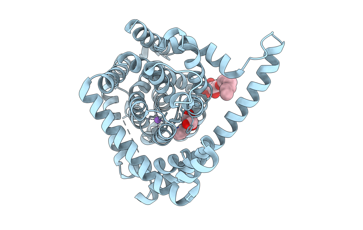 4PD7 image