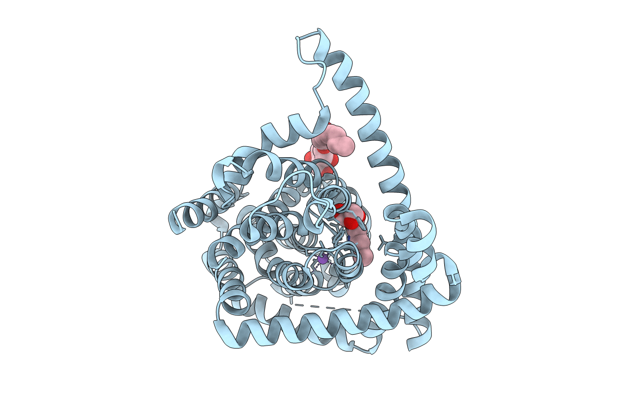 4PD8 image