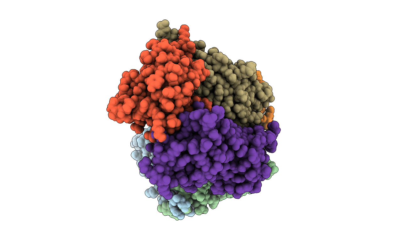 4PDC image