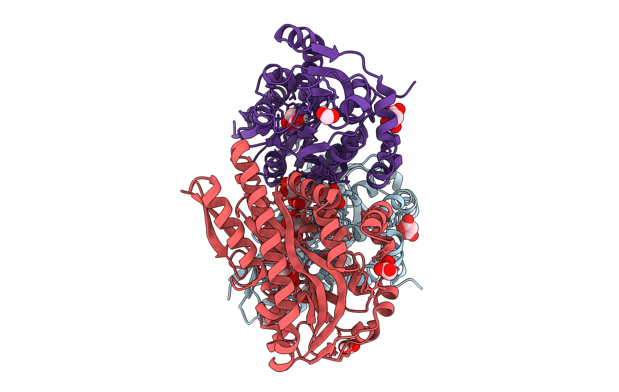 4PDD image