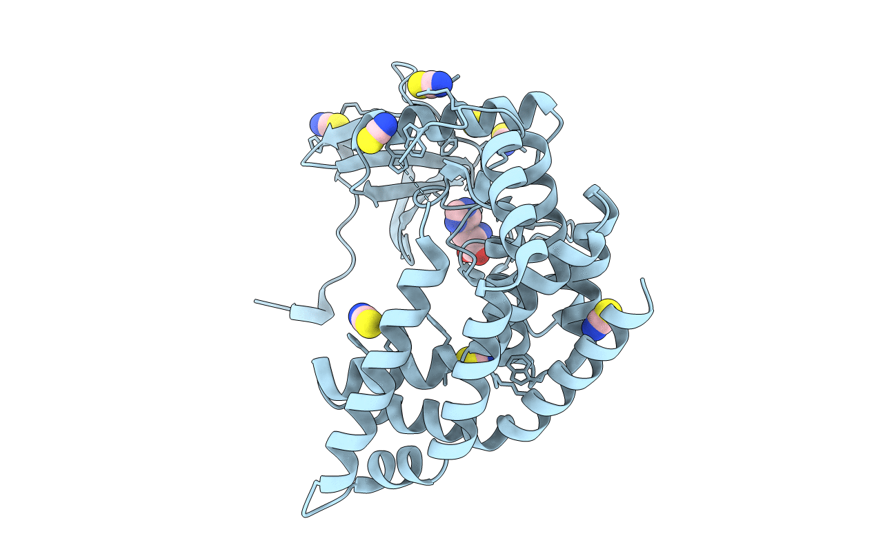 4PDY image
