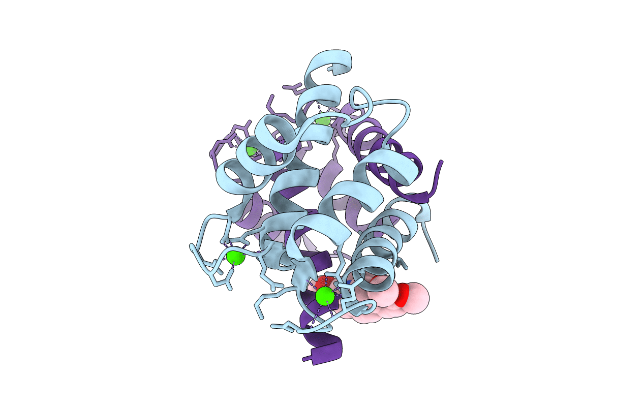 4PDZ image