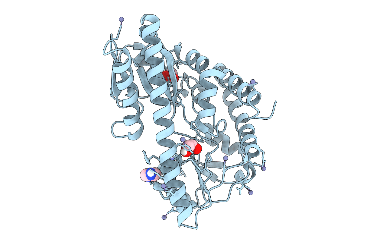 4PE3 image