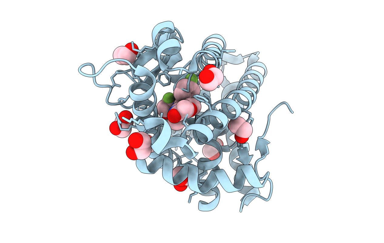 4PF3 image