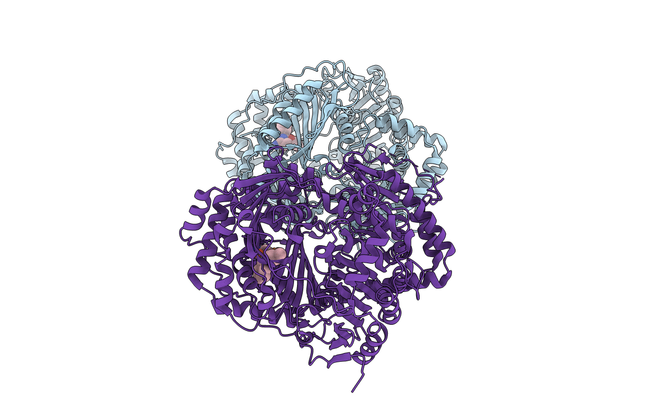 4PF7 image