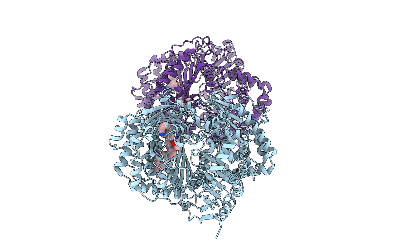 4PF9 image