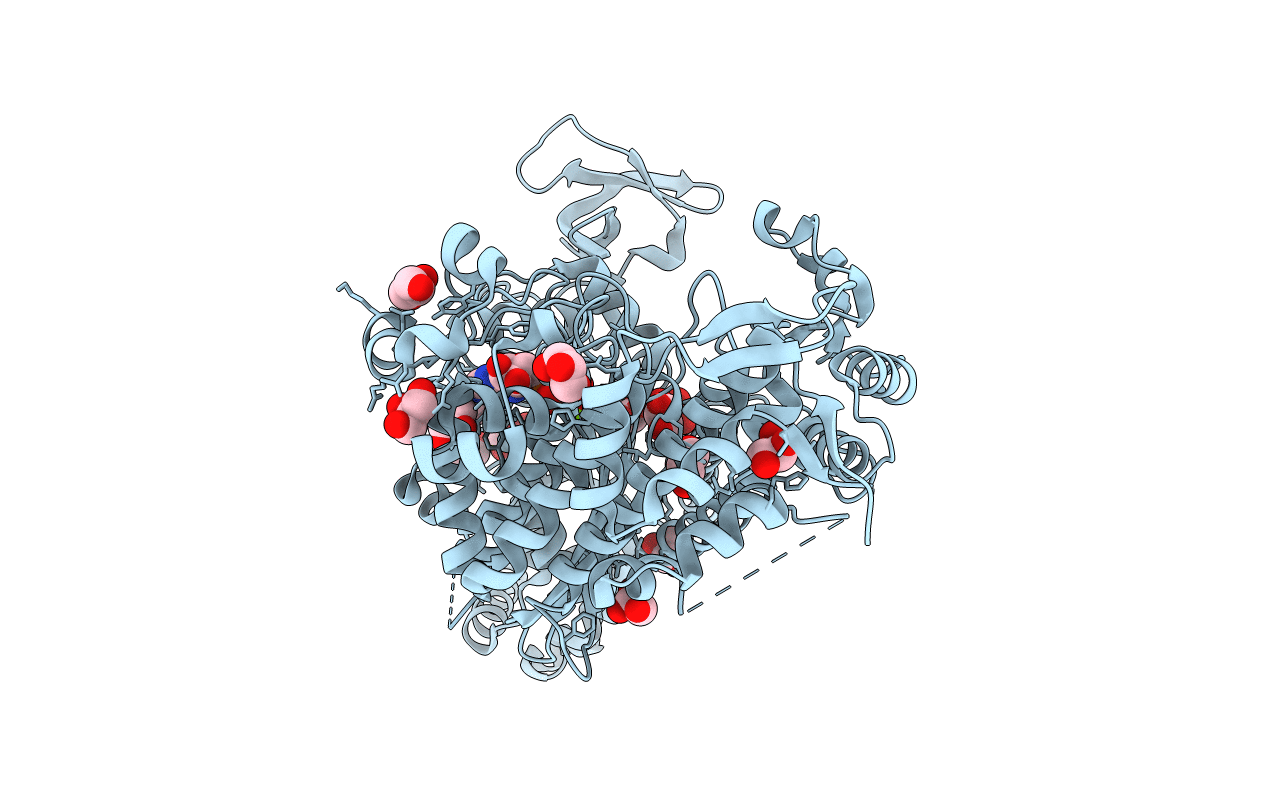 4PFO image