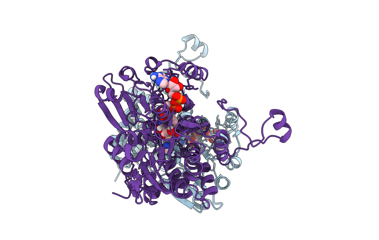 4PGF image