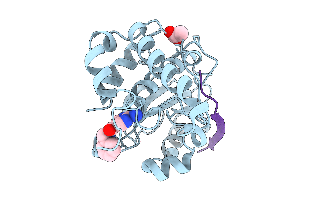 4PID image