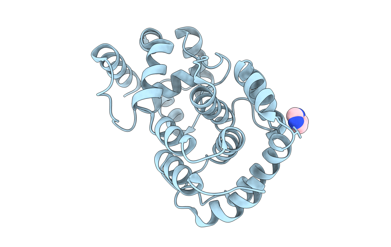 4PII image
