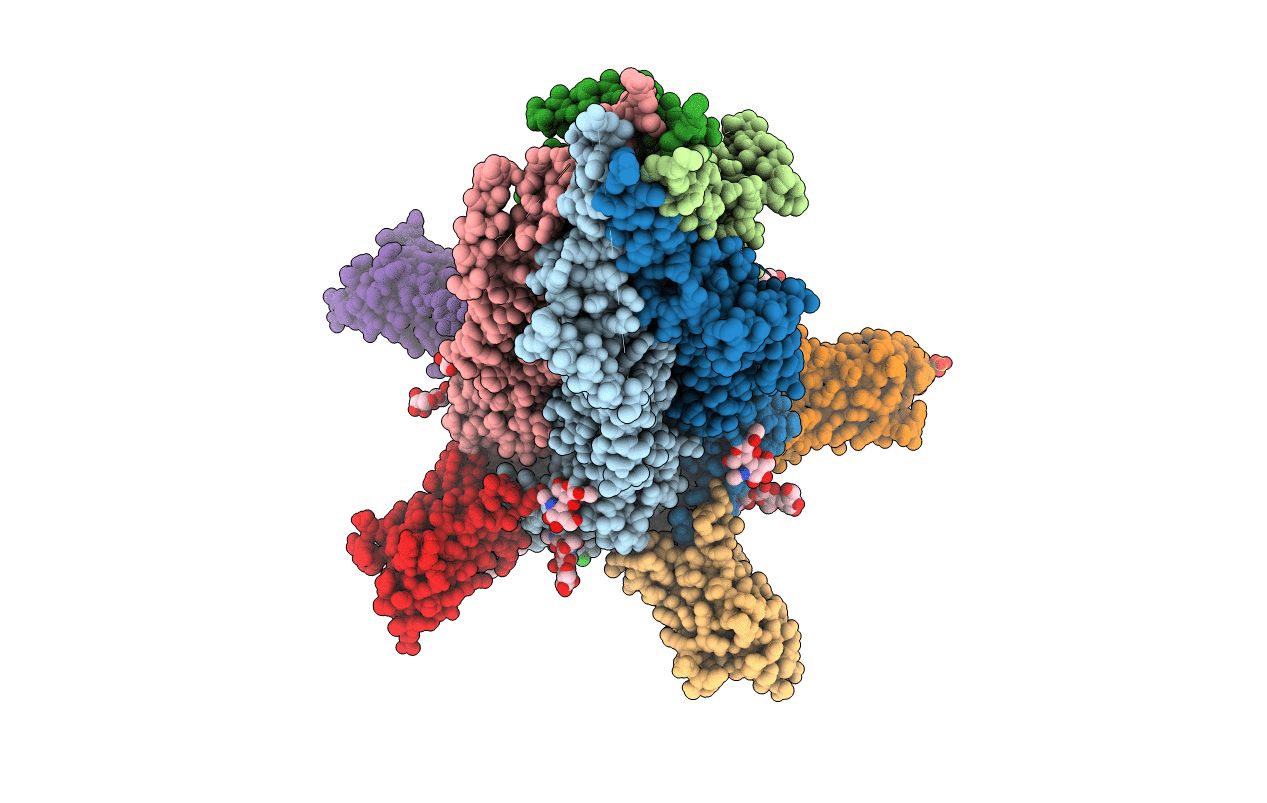 4PIR image