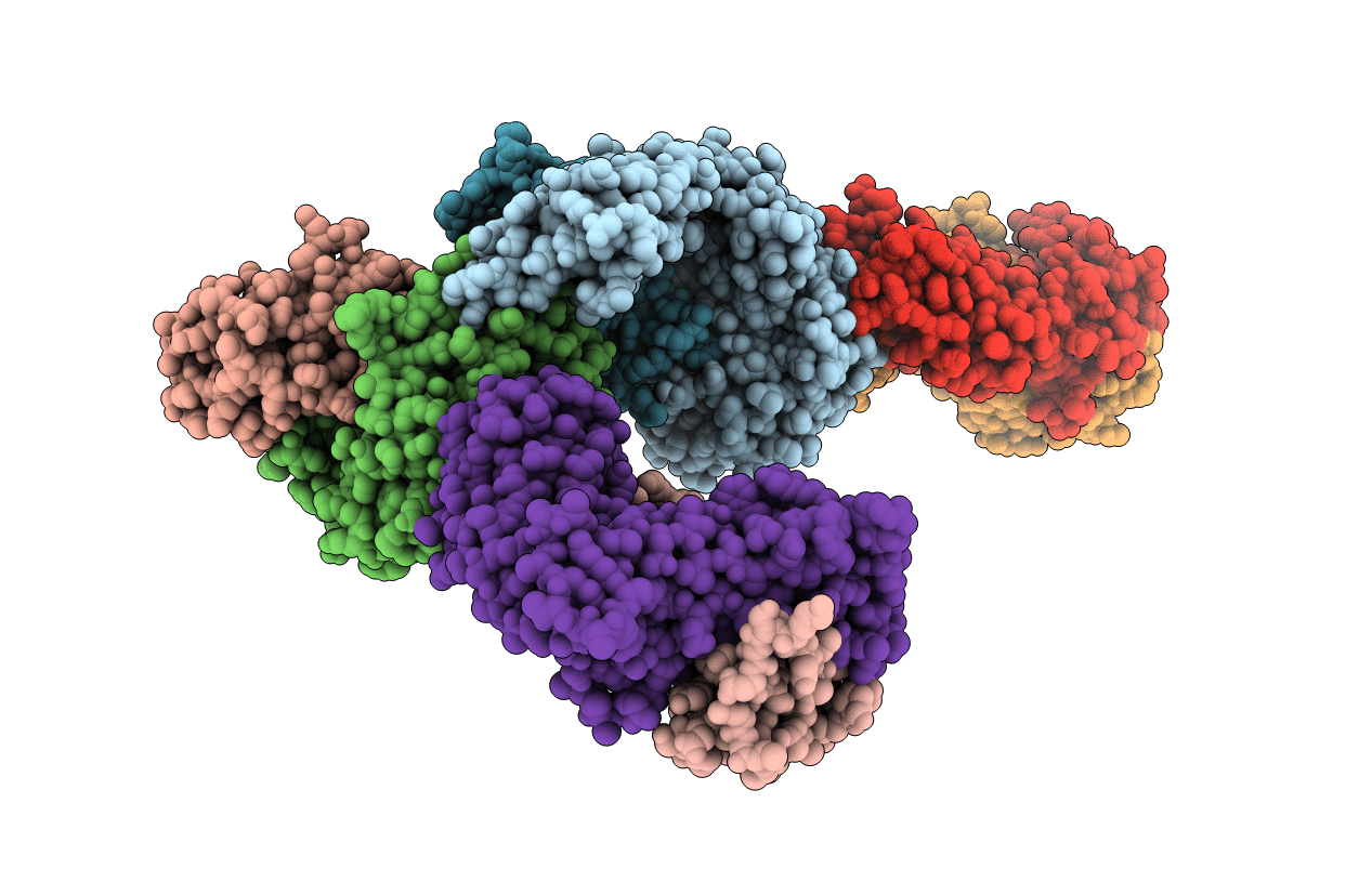 4PJB image