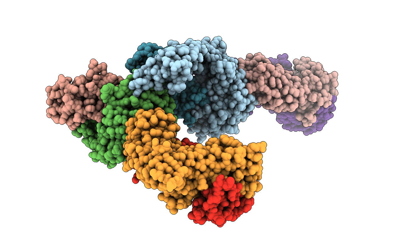 4PJF image