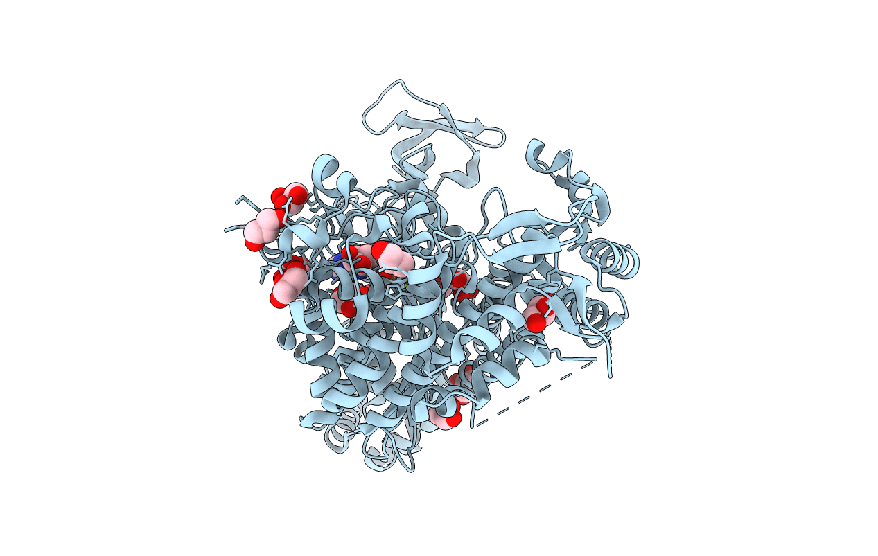 4PJL image