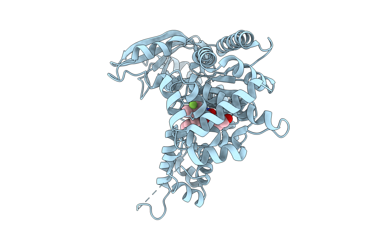 4PKR image