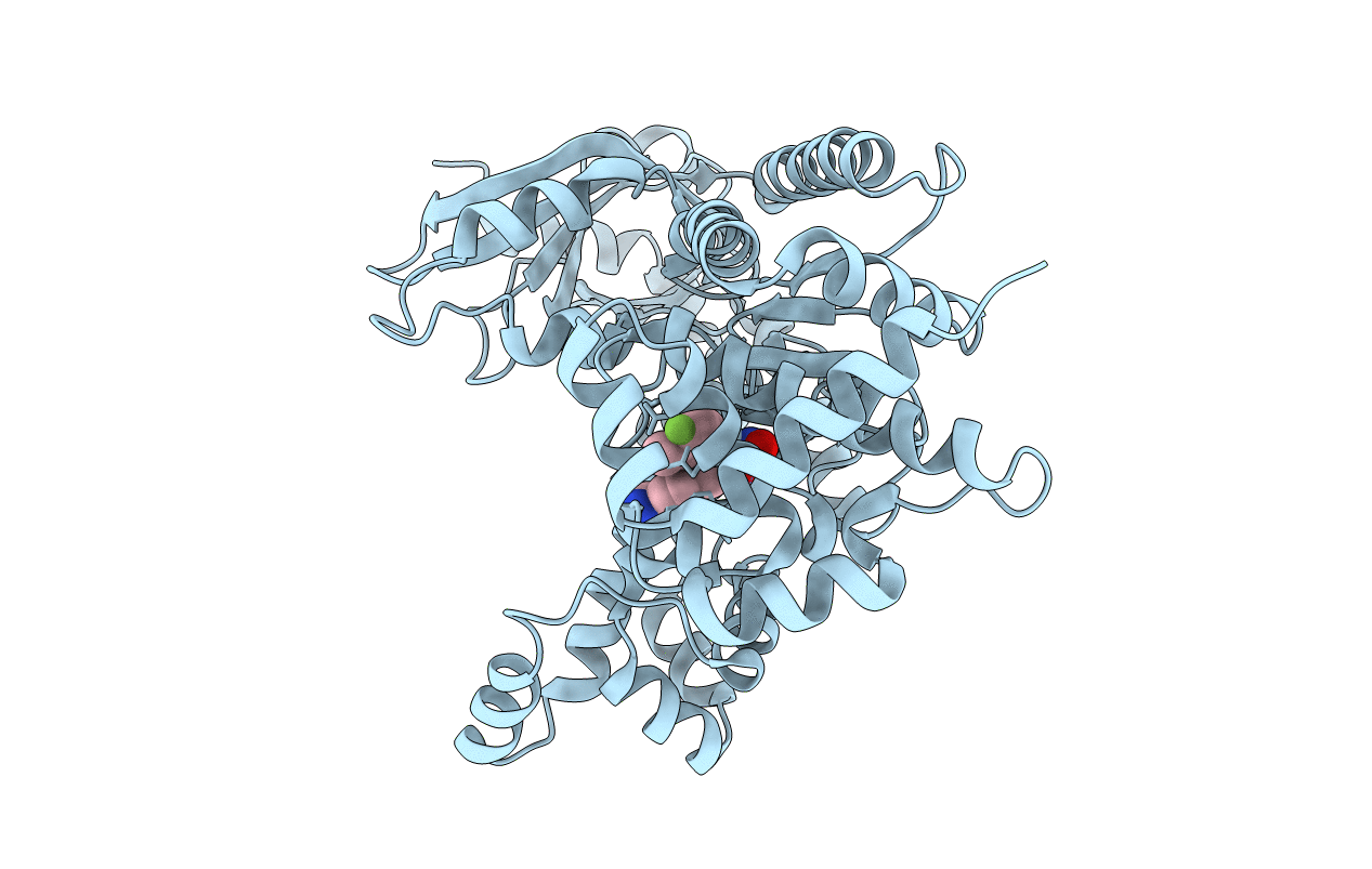 4PKV image