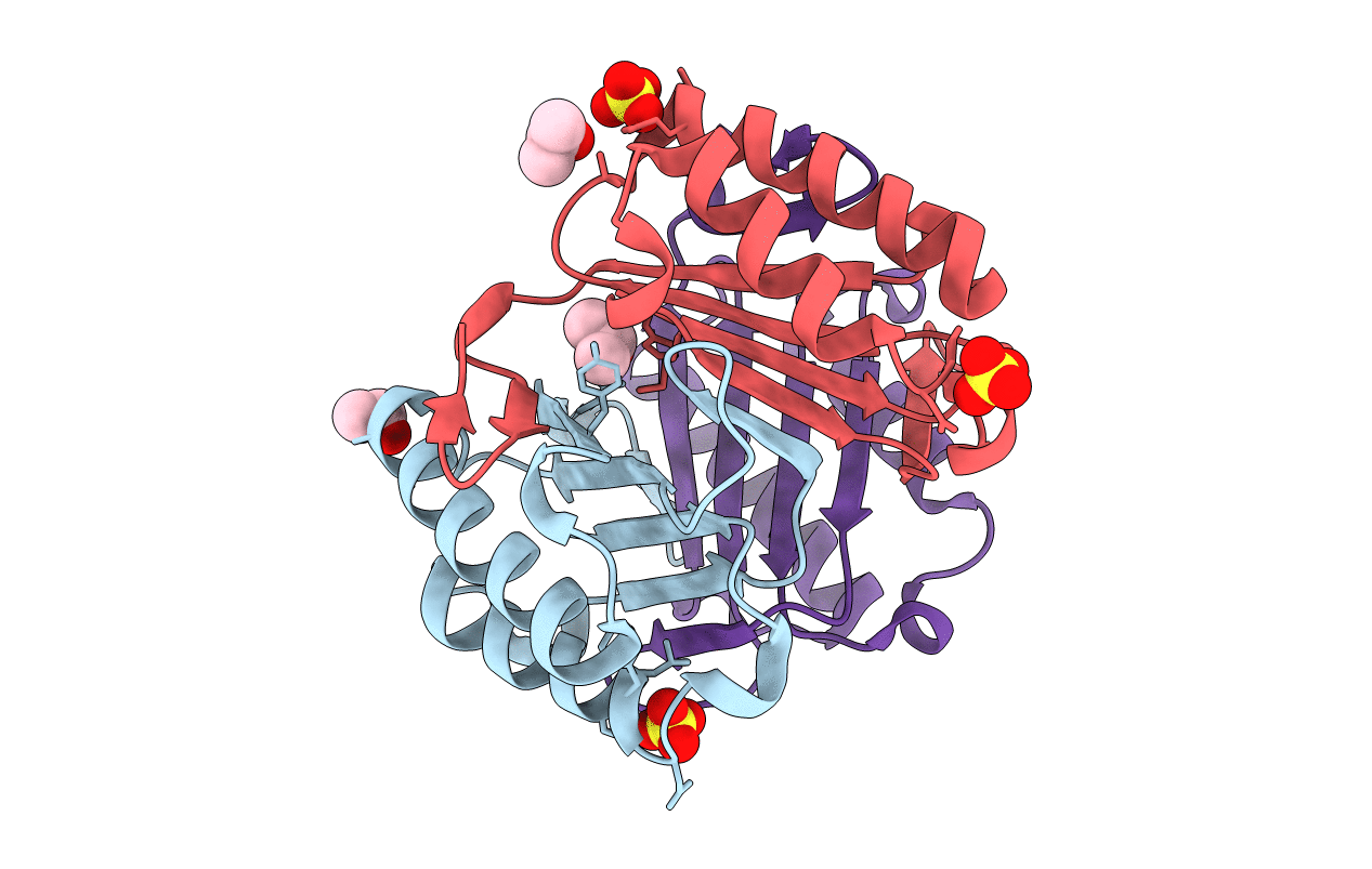 4PKZ image