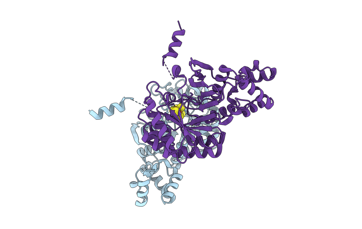 4PL2 image