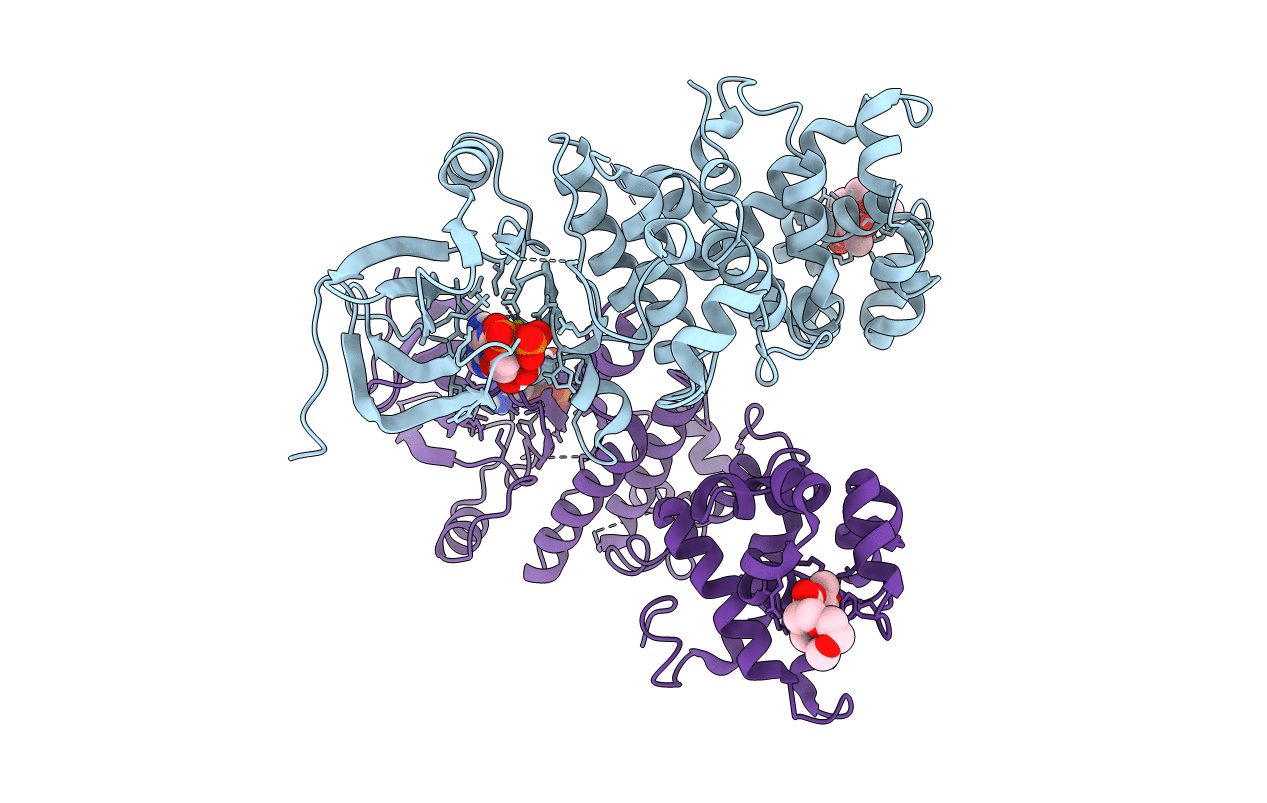 4PL3 image