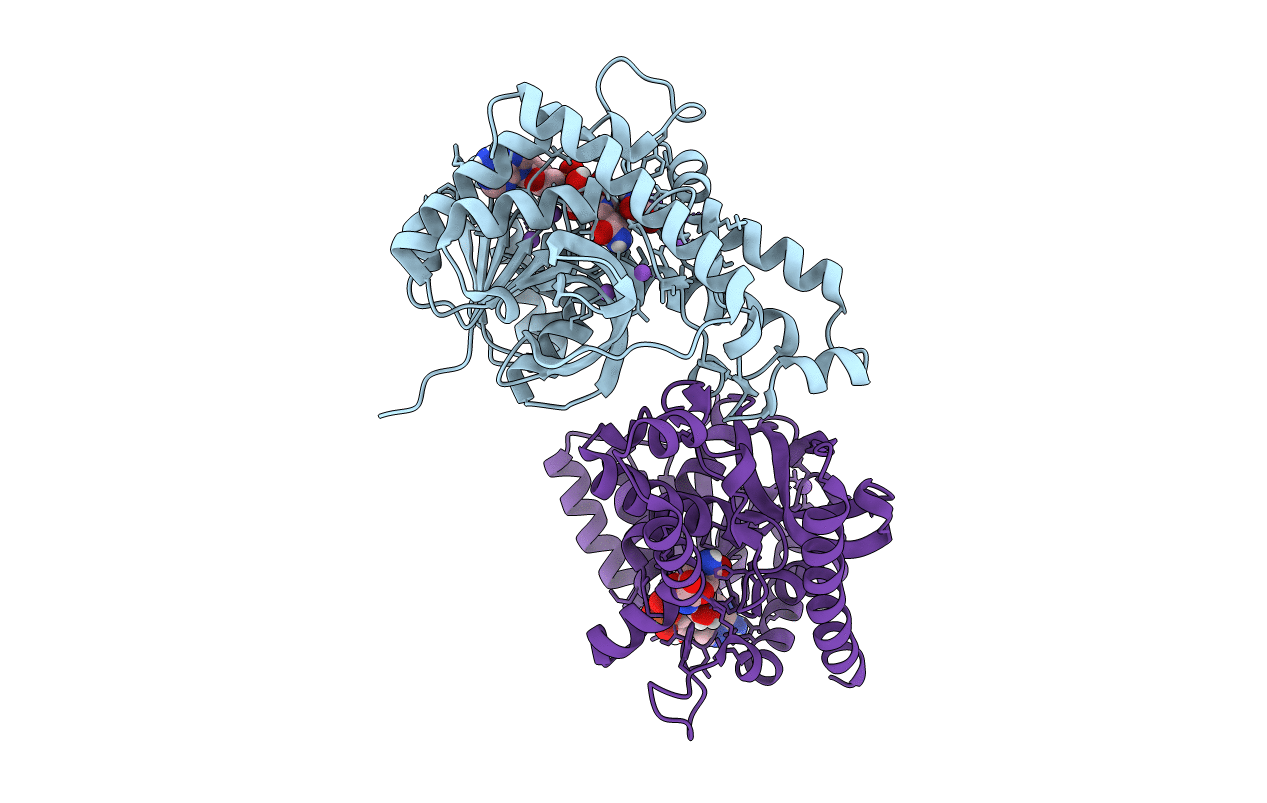 4PLG image