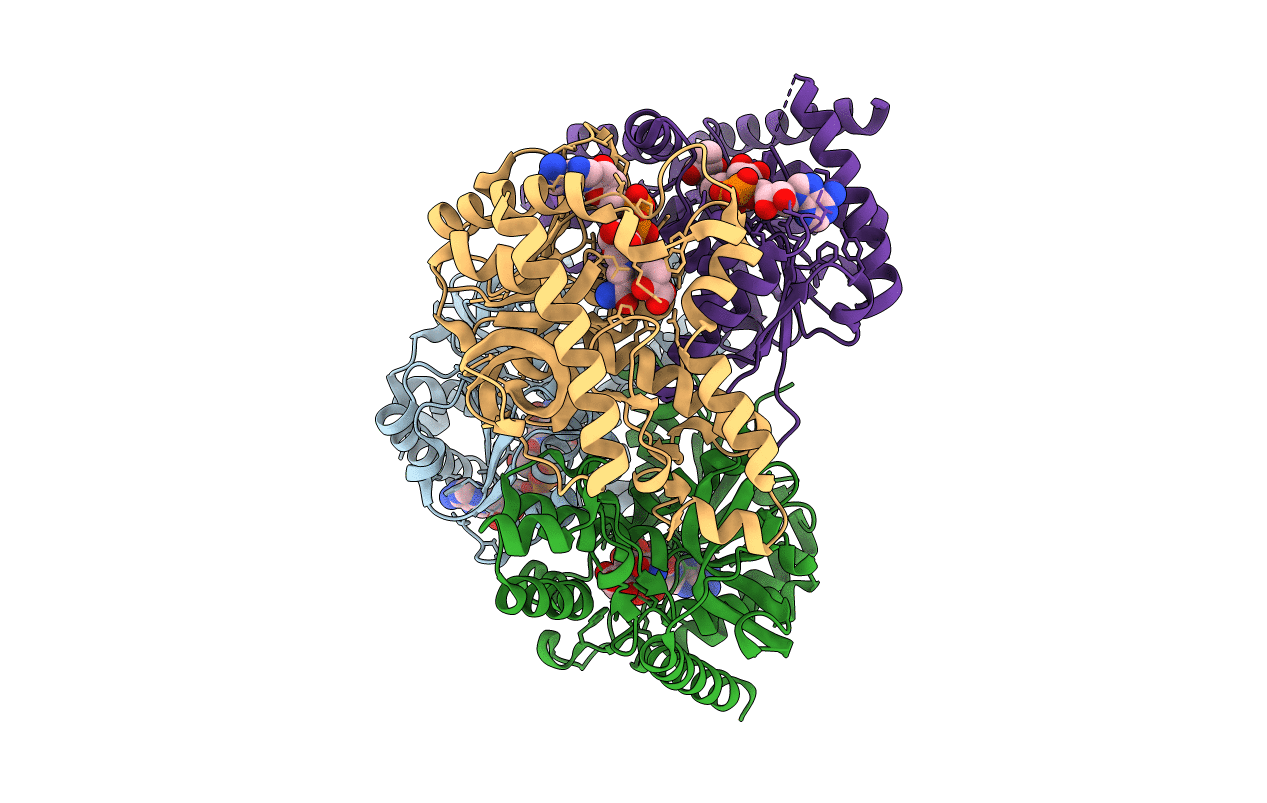 4PLV image
