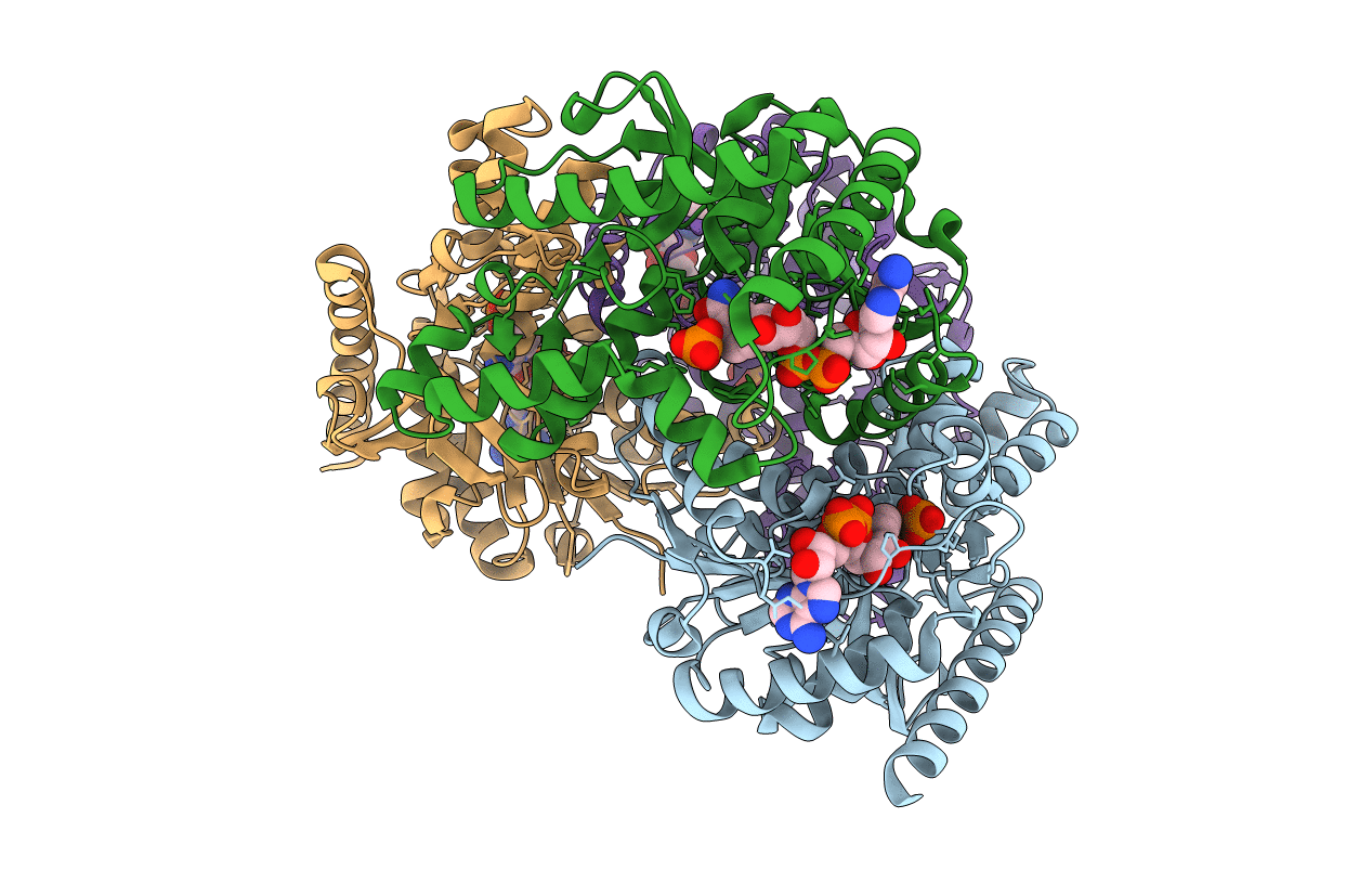 4PLW image