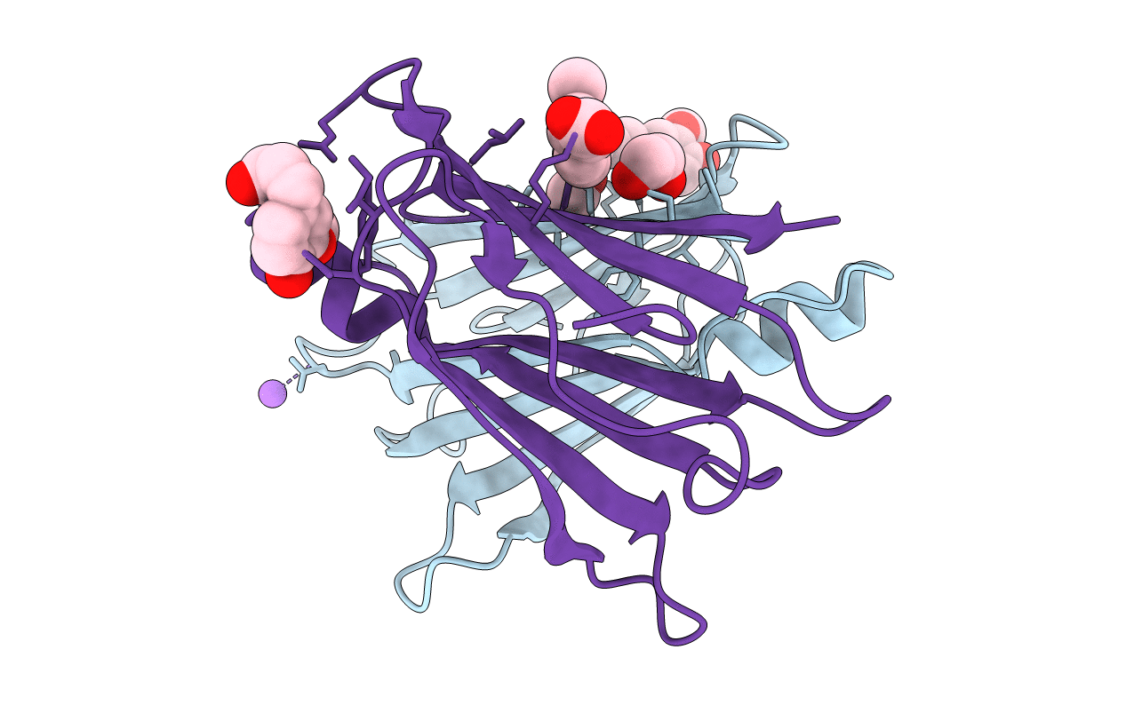 4PME image