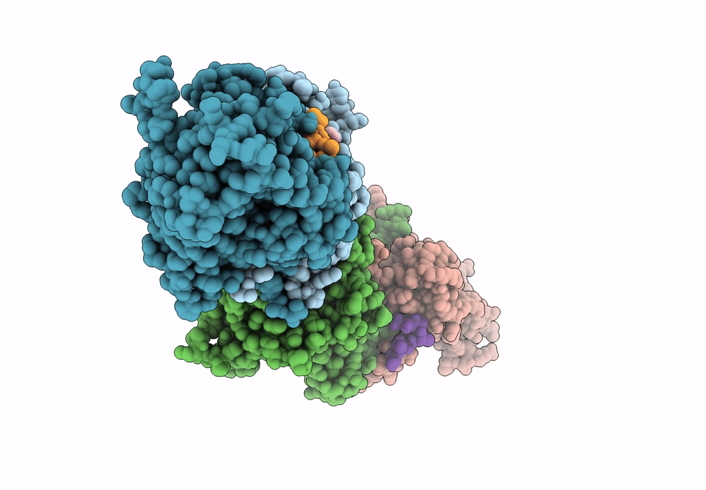 4PN1 image