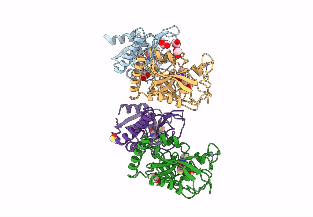 4PNL image