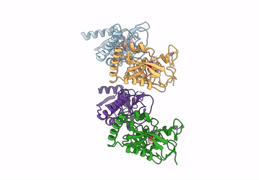 4PNQ image