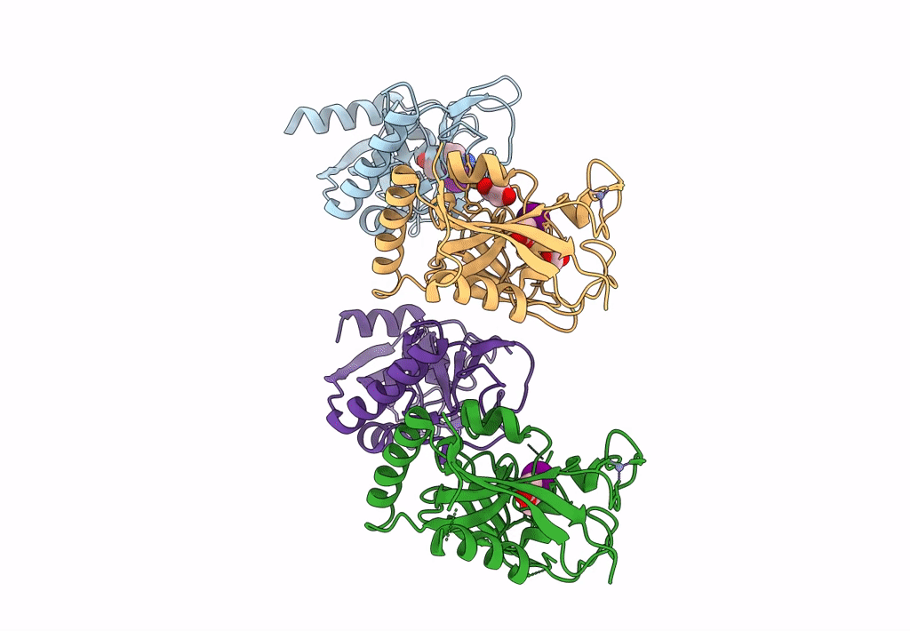 4PNS image