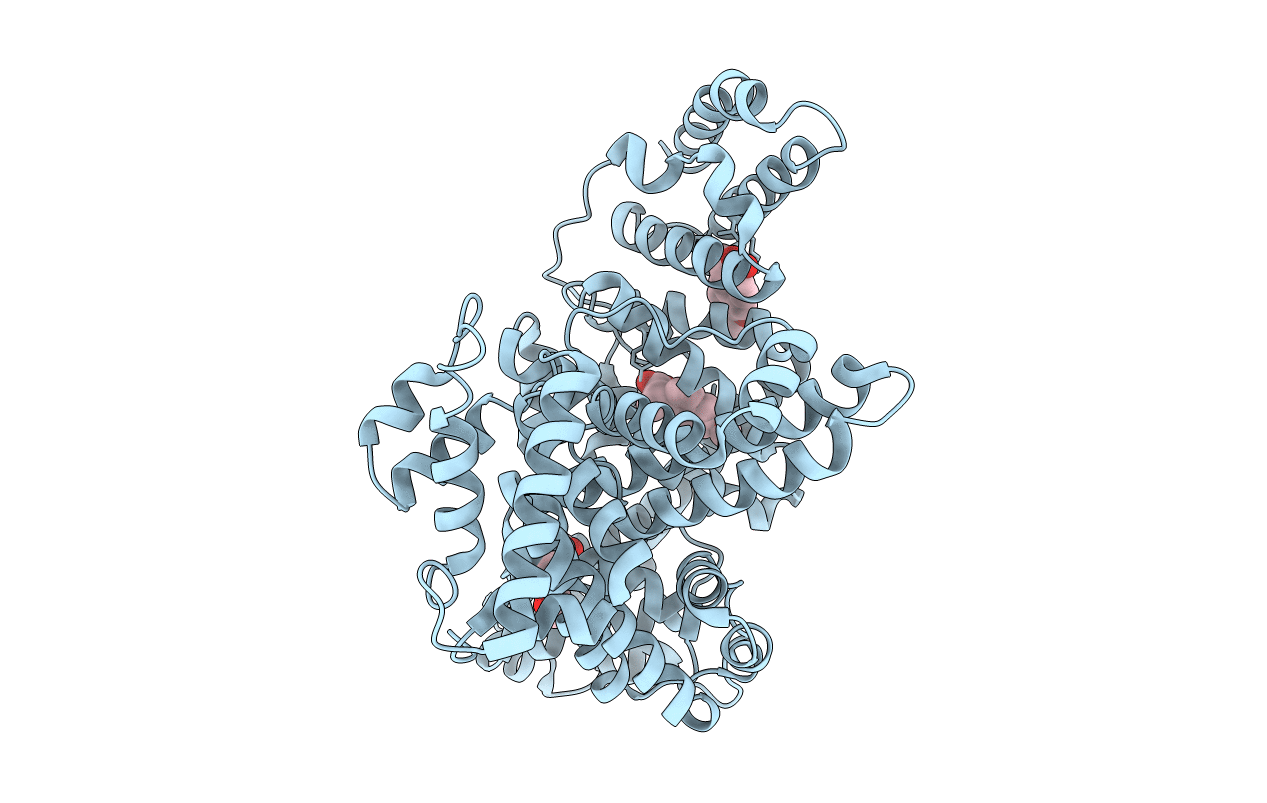 4PO0 image